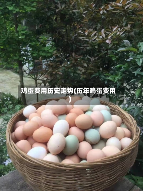 鸡蛋费用历史走势(历年鸡蛋费用)-第2张图片
