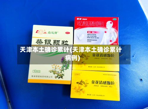 天津本土确诊累计(天津本土确诊累计病例)-第2张图片