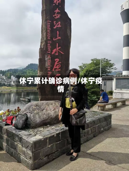 休宁累计确诊病例/休宁疫情