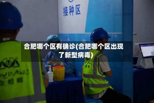 合肥哪个区有确诊(合肥哪个区出现了新型病毒)-第2张图片