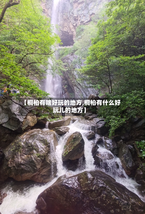 【桐柏有啥好玩的地方,桐柏有什么好玩儿的地方】