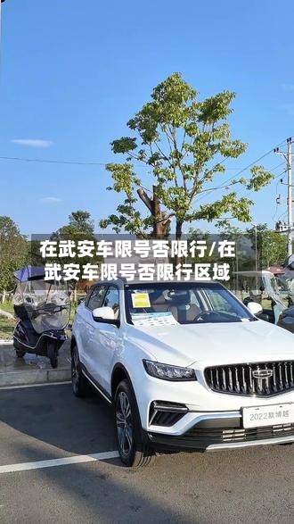 在武安车限号否限行/在武安车限号否限行区域-第3张图片