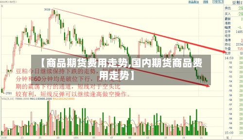 【商品期货费用走势,国内期货商品费用走势】