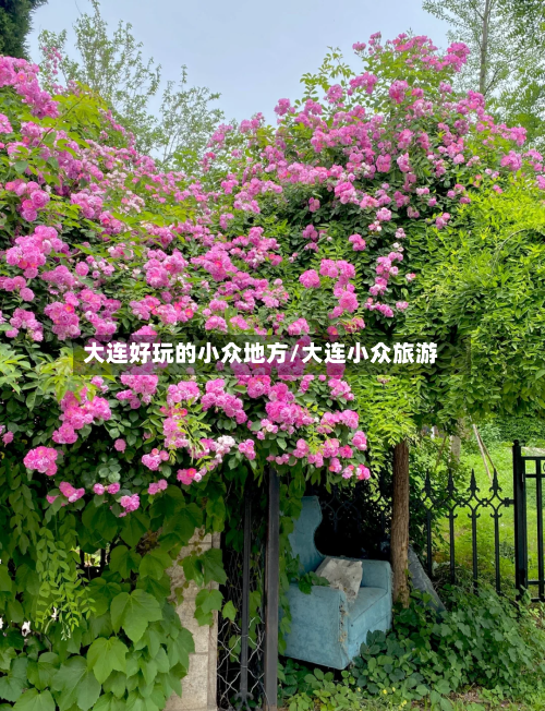 大连好玩的小众地方/大连小众旅游-第2张图片