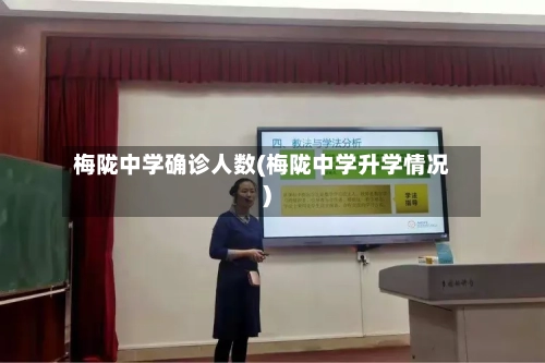 梅陇中学确诊人数(梅陇中学升学情况)-第2张图片