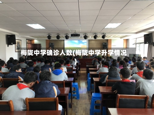 梅陇中学确诊人数(梅陇中学升学情况)-第3张图片