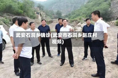 武安石洞乡确诊(武安市石洞乡赵庄村视频)-第3张图片