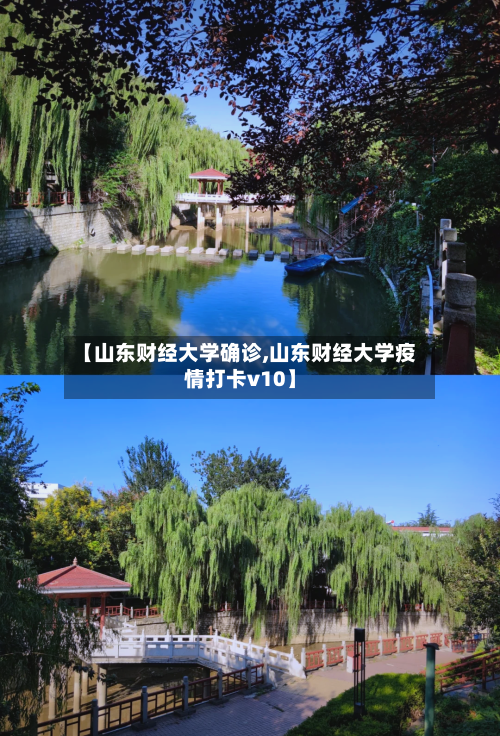 【山东财经大学确诊,山东财经大学疫情打卡v10】-第2张图片