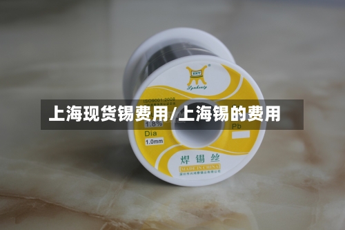 上海现货锡费用/上海锡的费用-第3张图片