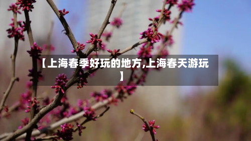 【上海春季好玩的地方,上海春天游玩】