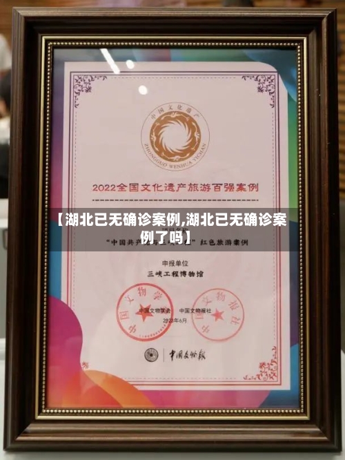 【湖北已无确诊案例,湖北已无确诊案例了吗】-第2张图片
