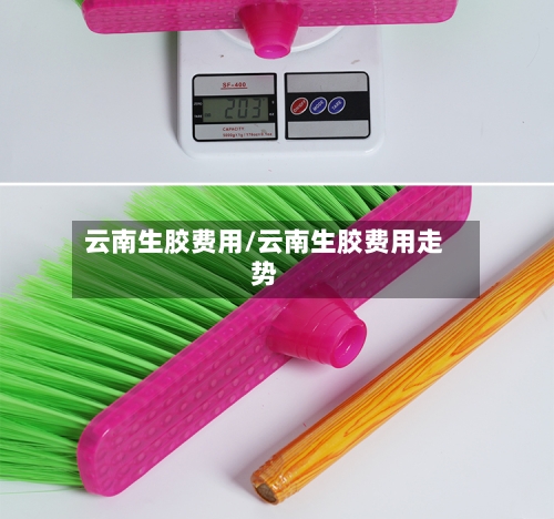 云南生胶费用/云南生胶费用走势