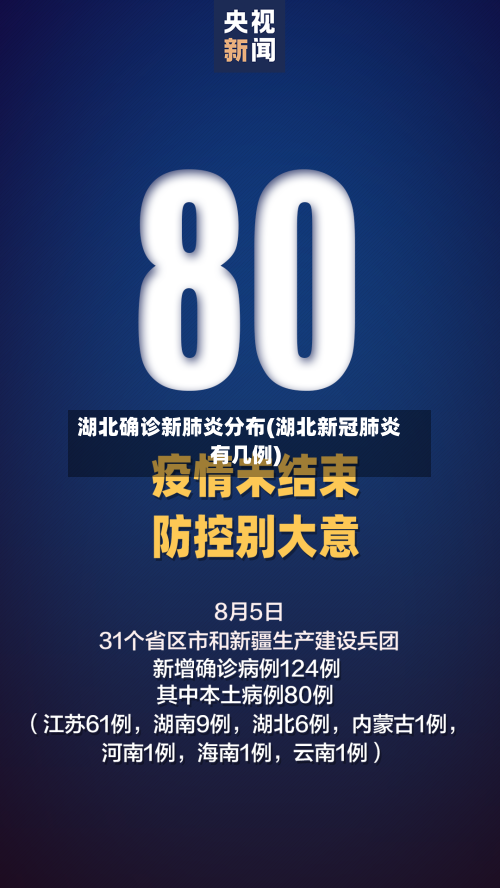 湖北确诊新肺炎分布(湖北新冠肺炎有几例)-第2张图片