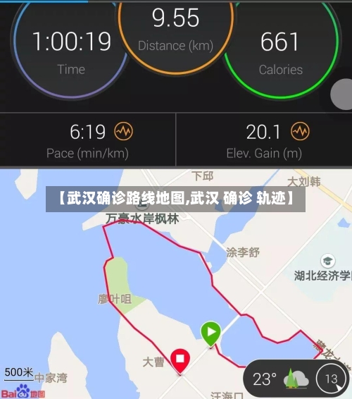 【武汉确诊路线地图,武汉 确诊 轨迹】-第2张图片