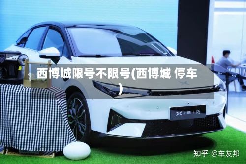 西博城限号不限号(西博城 停车)-第2张图片