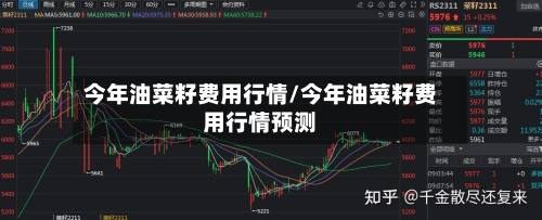 今年油菜籽费用行情/今年油菜籽费用行情预测-第3张图片