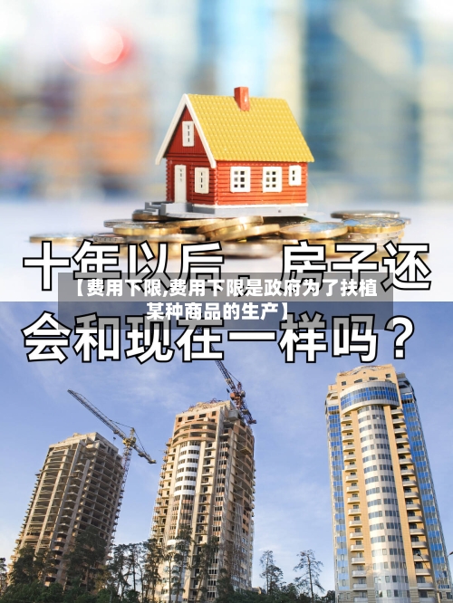 【费用下限,费用下限是政府为了扶植某种商品的生产】-第3张图片