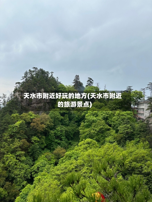 天水市附近好玩的地方(天水市附近的旅游景点)-第2张图片