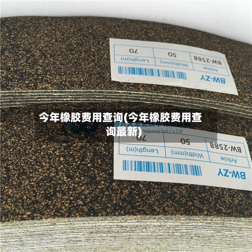 今年橡胶费用查询(今年橡胶费用查询最新)
