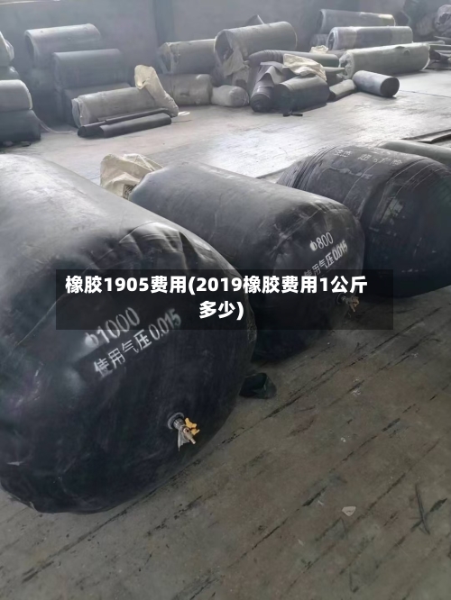 橡胶1905费用(2019橡胶费用1公斤多少)