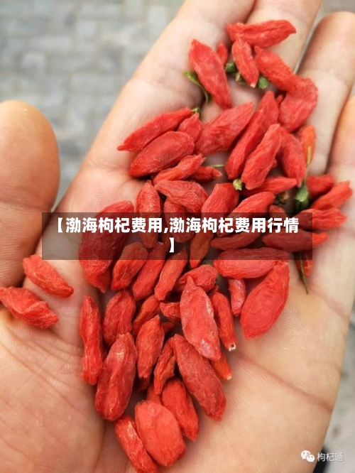 【渤海枸杞费用,渤海枸杞费用行情】-第3张图片