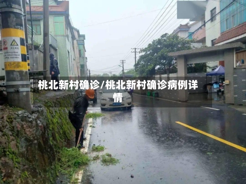 桃北新村确诊/桃北新村确诊病例详情