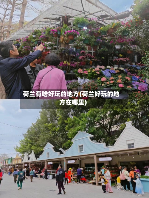 荷兰有啥好玩的地方(荷兰好玩的地方在哪里)