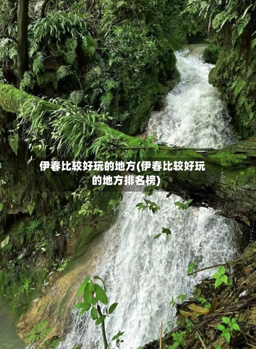 伊春比较好玩的地方(伊春比较好玩的地方排名榜)