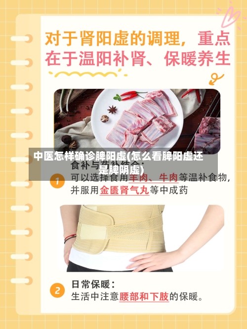 中医怎样确诊脾阳虚(怎么看脾阳虚还是脾阴虚)-第2张图片