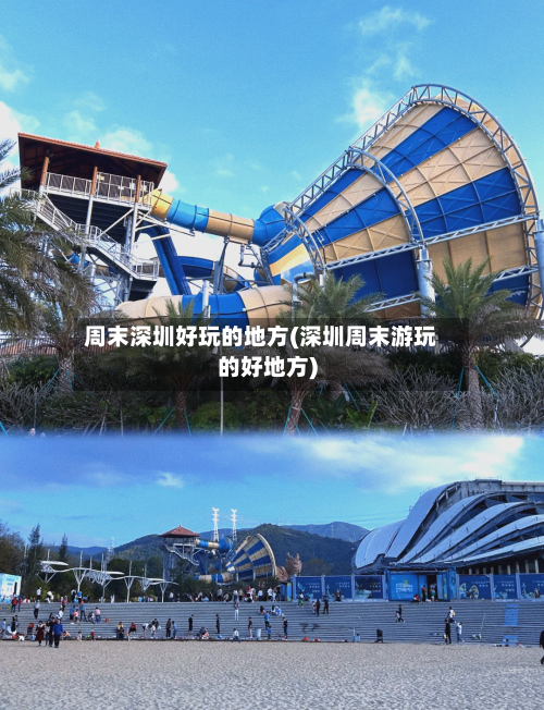 周末深圳好玩的地方(深圳周末游玩的好地方)