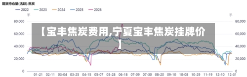 【宝丰焦炭费用,宁夏宝丰焦炭挂牌价】