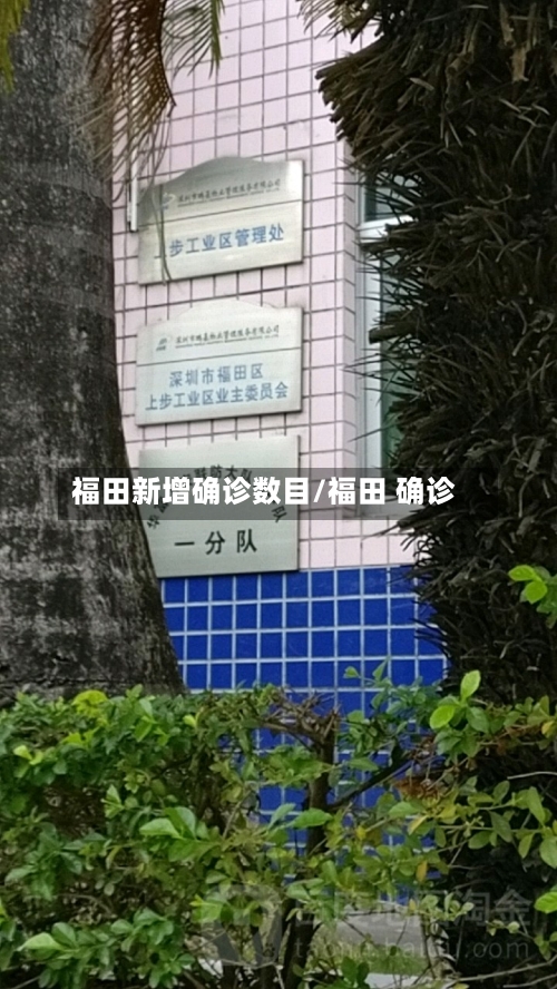 福田新增确诊数目/福田 确诊