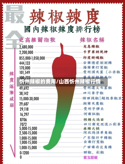 忻州辣椒的费用/山西忻州辣椒行情