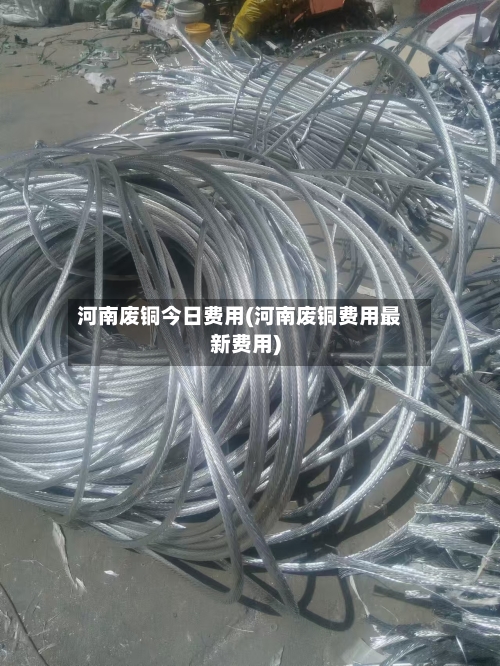 河南废铜今日费用(河南废铜费用最新费用)