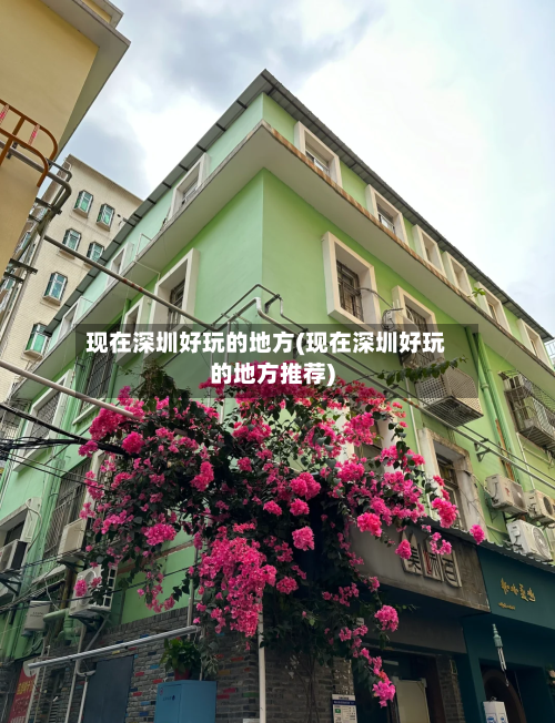 现在深圳好玩的地方(现在深圳好玩的地方推荐)-第3张图片