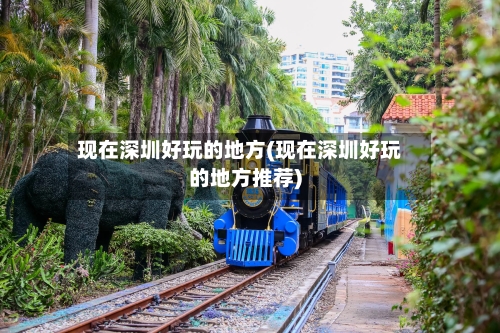 现在深圳好玩的地方(现在深圳好玩的地方推荐)-第2张图片