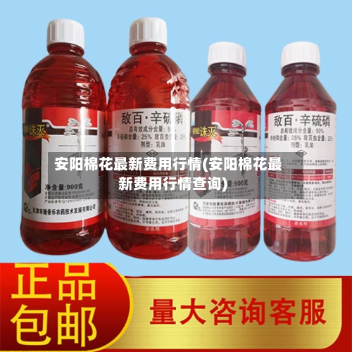 安阳棉花最新费用行情(安阳棉花最新费用行情查询)