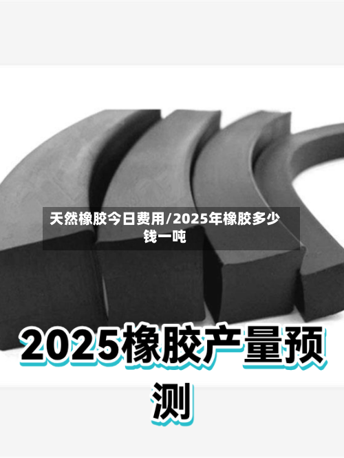 天然橡胶今日费用/2025年橡胶多少钱一吨