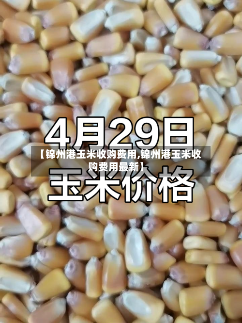 【锦州港玉米收购费用,锦州港玉米收购费用最新】