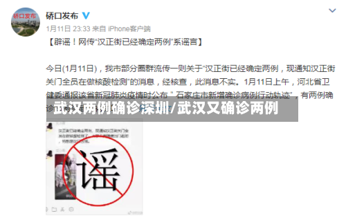 武汉两例确诊深圳/武汉又确诊两例