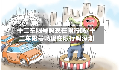 十二车限号吗现在限行吗/十二车限号吗现在限行吗深圳-第2张图片