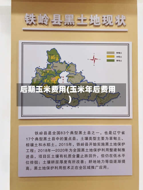 后期玉米费用(玉米年后费用)