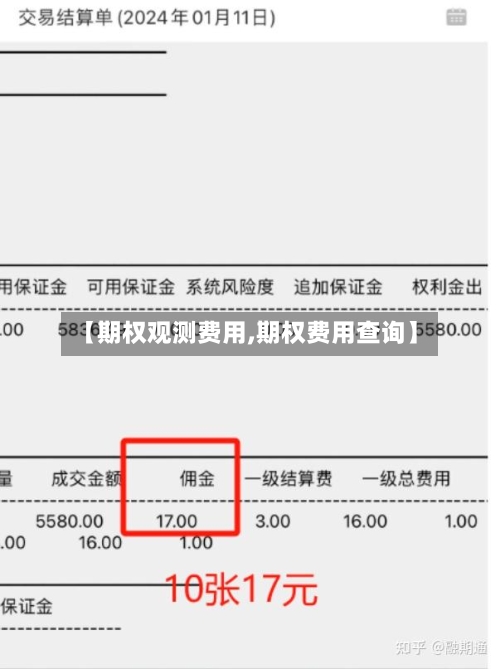 【期权观测费用,期权费用查询】