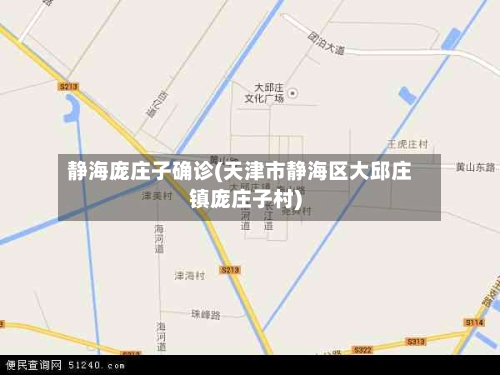 静海庞庄子确诊(天津市静海区大邱庄镇庞庄子村)