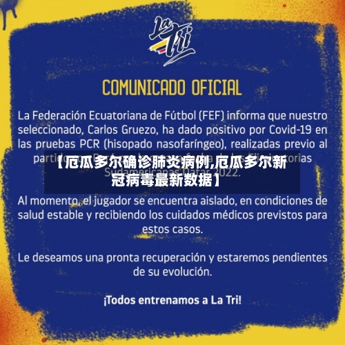 【厄瓜多尔确诊肺炎病例,厄瓜多尔新冠病毒最新数据】