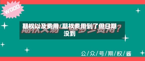 期权以及费用/期权费用到了但日期没到-第3张图片