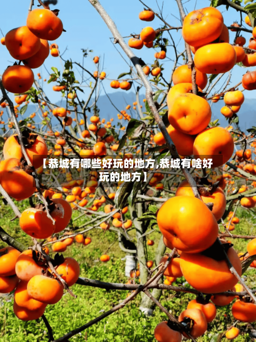 【恭城有哪些好玩的地方,恭城有啥好玩的地方】-第3张图片