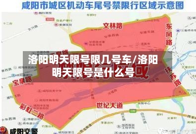 洛阳明天限号限几号车/洛阳明天限号是什么号