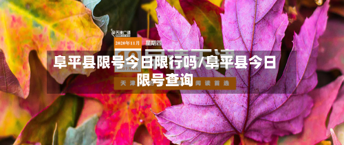 阜平县限号今日限行吗/阜平县今日限号查询-第2张图片