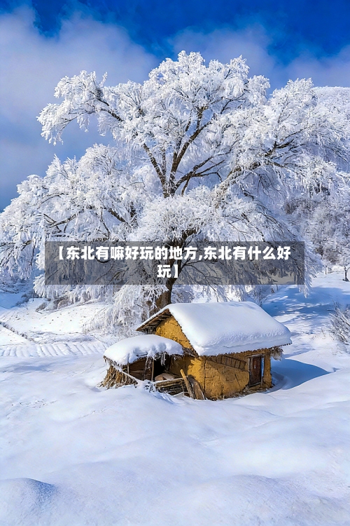 【东北有嘛好玩的地方,东北有什么好玩】-第3张图片
